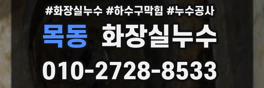 목동 누수탐지