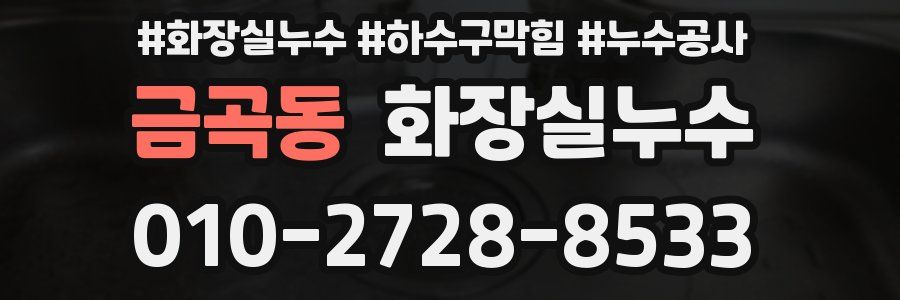 금곡동 누수탐지