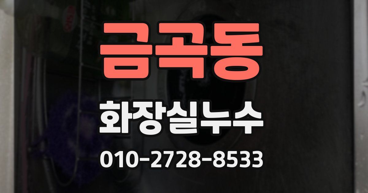 금곡동 누수업체