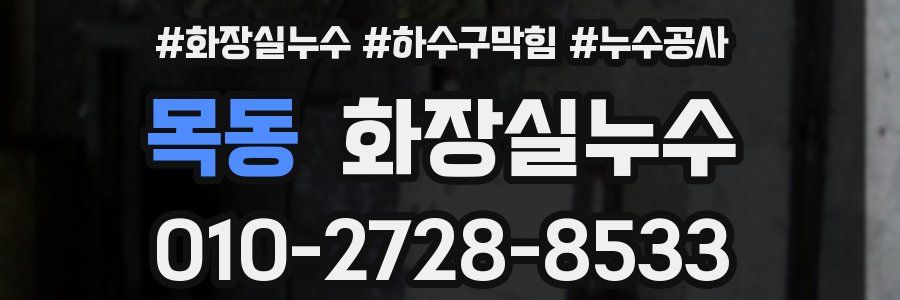 목동 누수탐지
