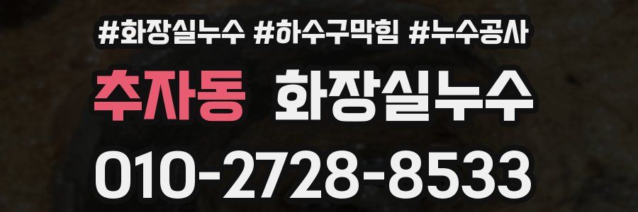 추자동 누수탐지