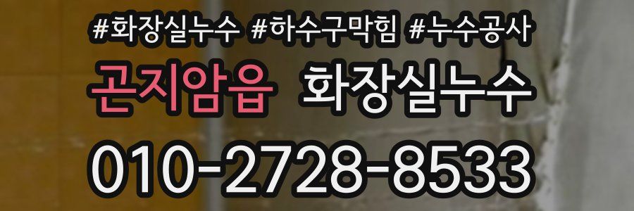 곤지암읍 누수탐지