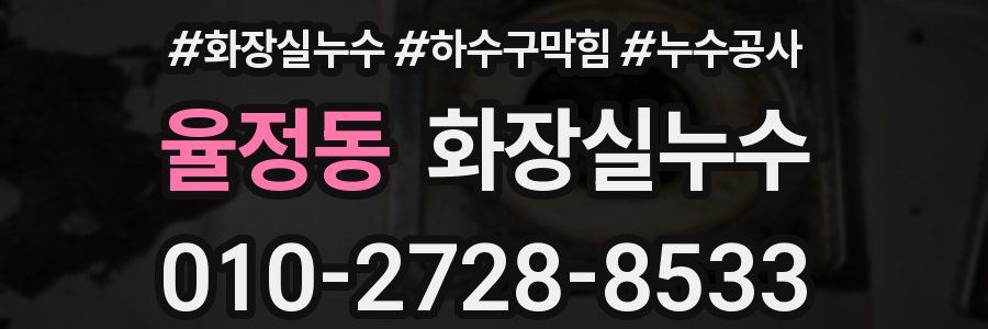 율정동 누수탐지