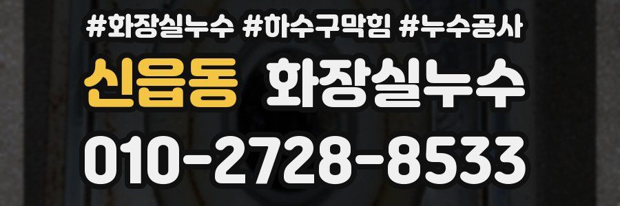 신읍동 누수탐지