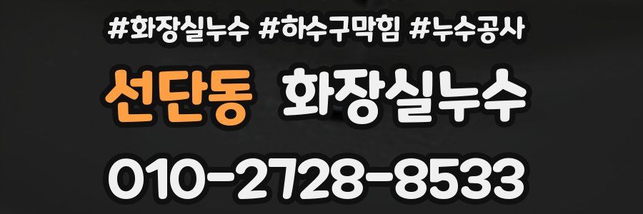 선단동 누수탐지