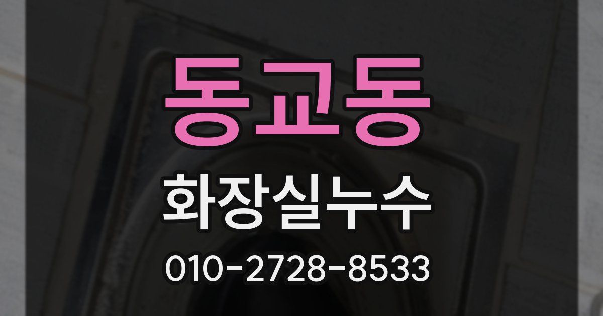 동교동 누수업체