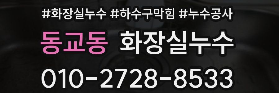 동교동 누수탐지