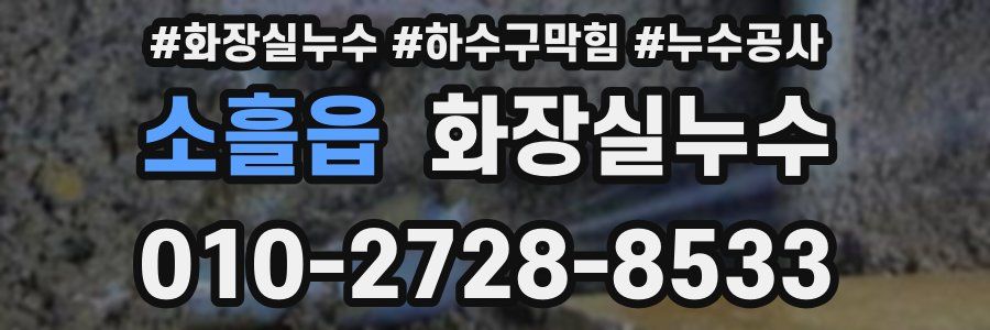 소흘읍 누수탐지