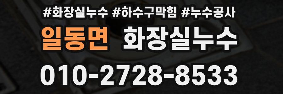 일동면 누수탐지