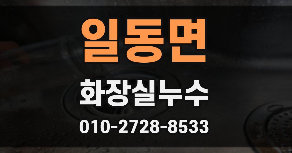 일동면 누수업체