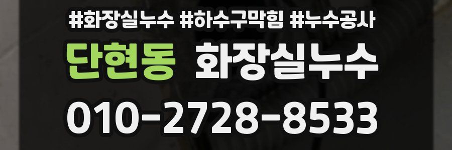 단현동 누수탐지