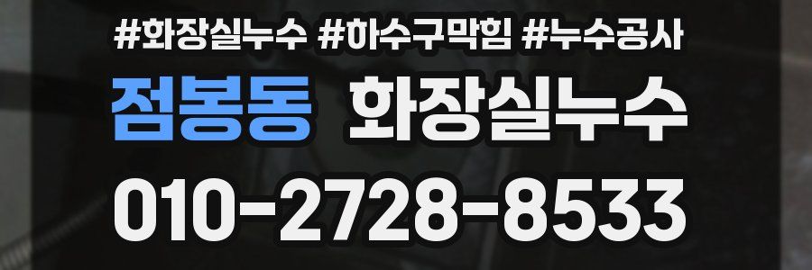 점봉동 누수탐지