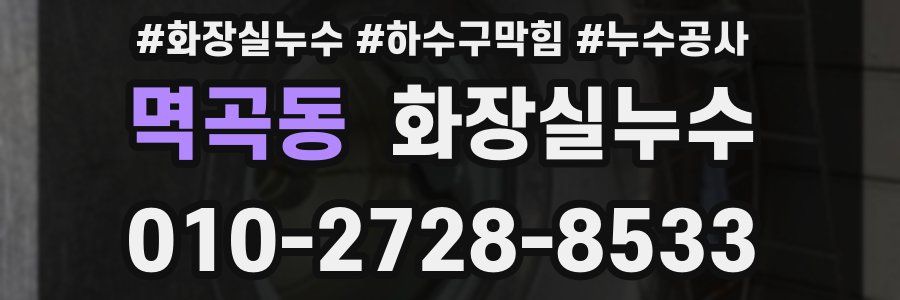 멱곡동 누수탐지