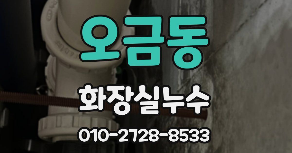 오금동 누수업체