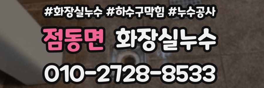 점동면 누수탐지