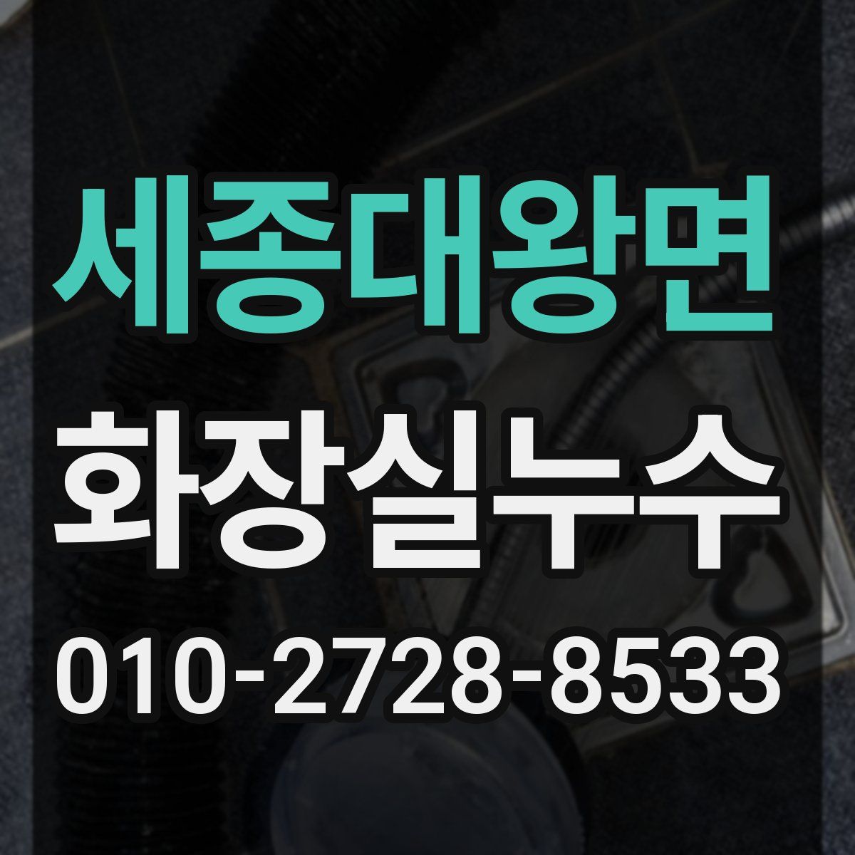 세종대왕면 화장실누수탐지