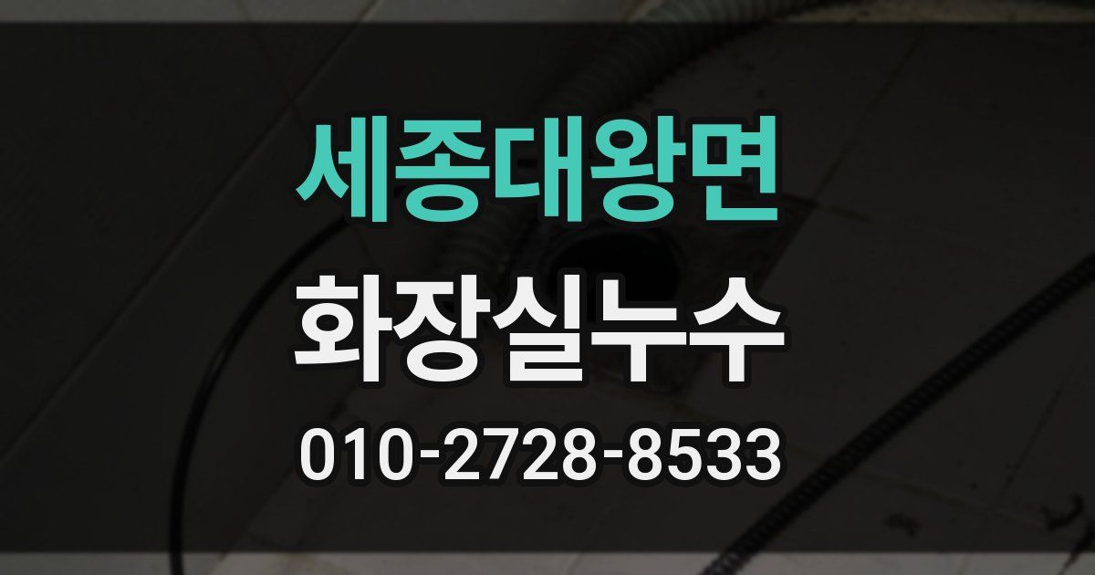 세종대왕면 누수업체