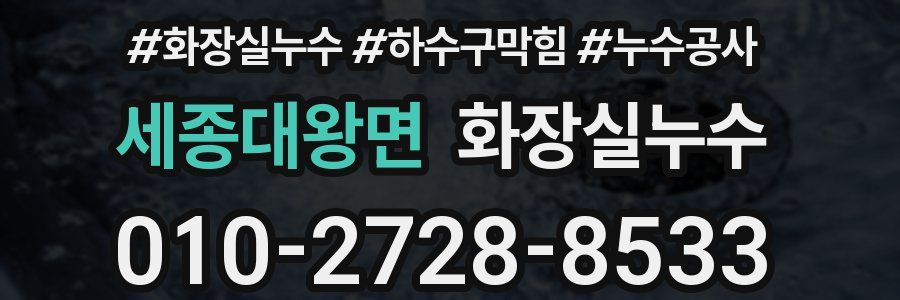 세종대왕면 누수탐지