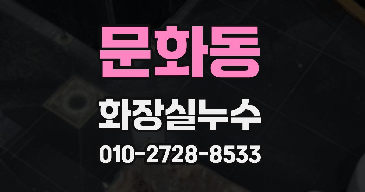 문화동 누수업체