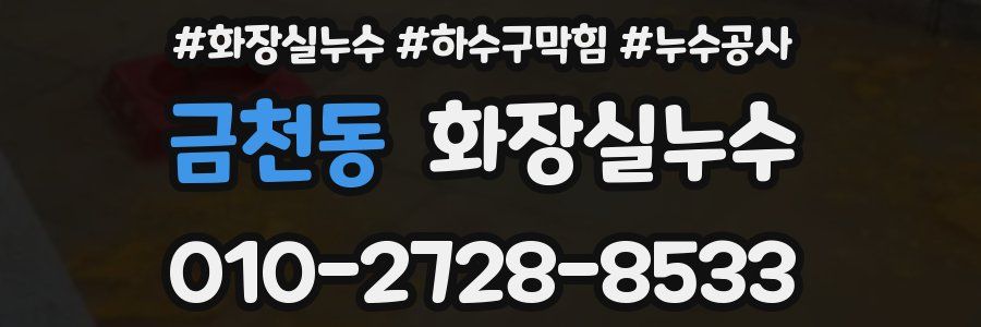 금천동 누수탐지
