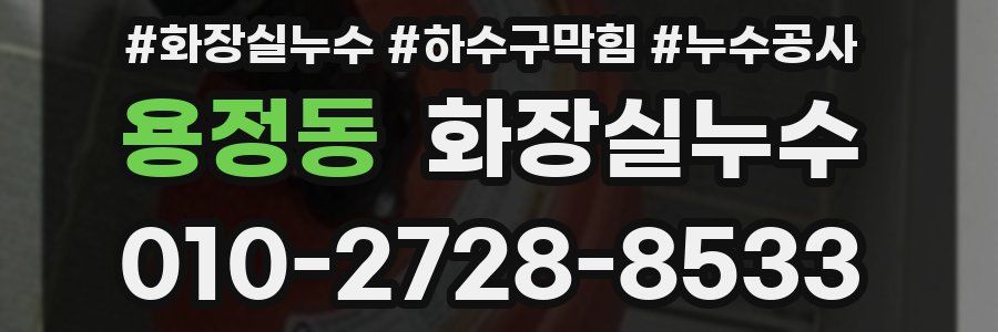 용정동 누수탐지