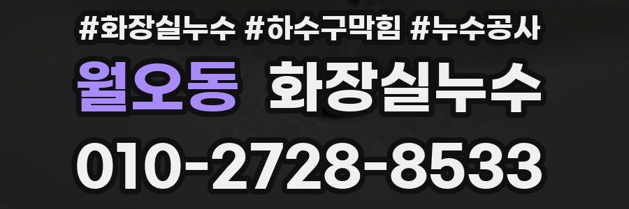 월오동 누수탐지