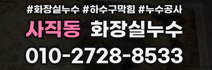 사직동 누수탐지