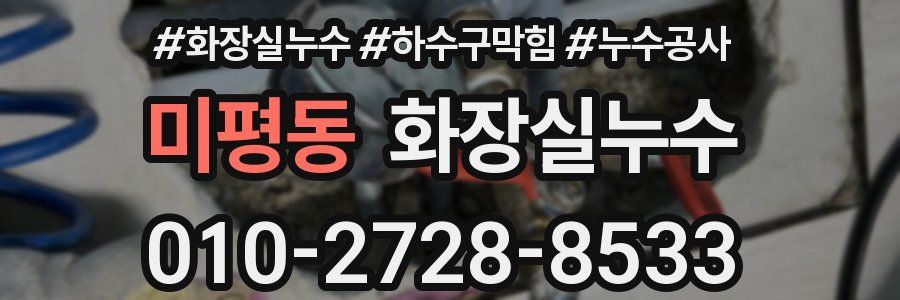 미평동 누수탐지