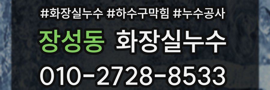 장성동 누수탐지