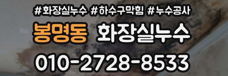 봉명동 누수탐지