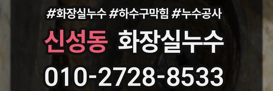 신성동 누수탐지
