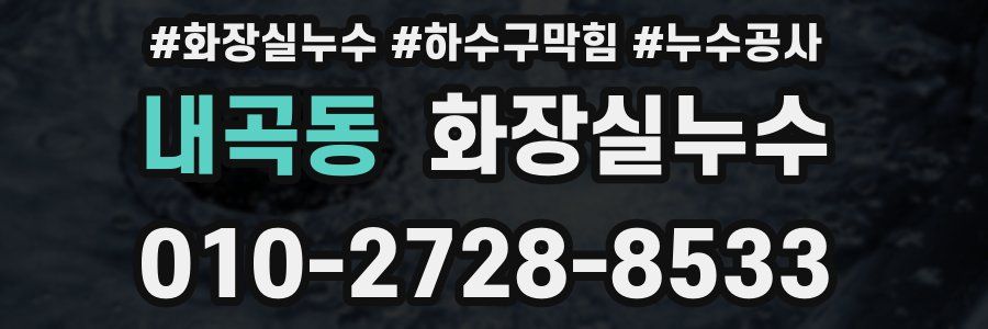 내곡동 누수탐지