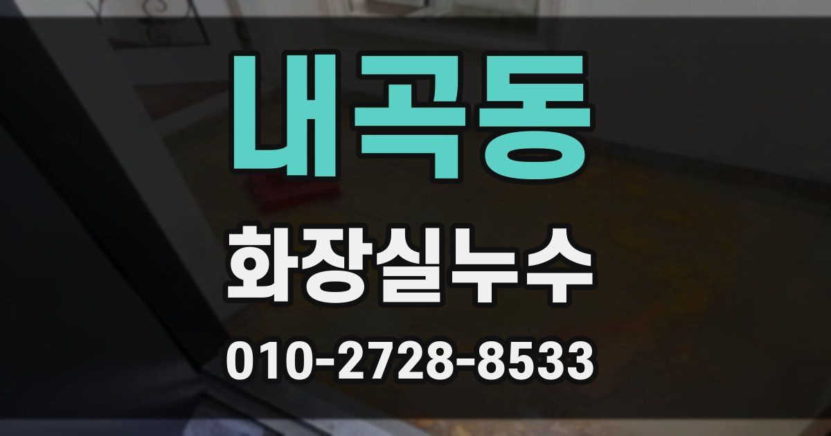 내곡동 누수업체