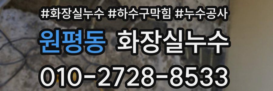 원평동 누수탐지