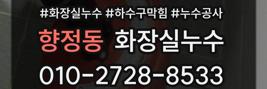 향정동 누수탐지