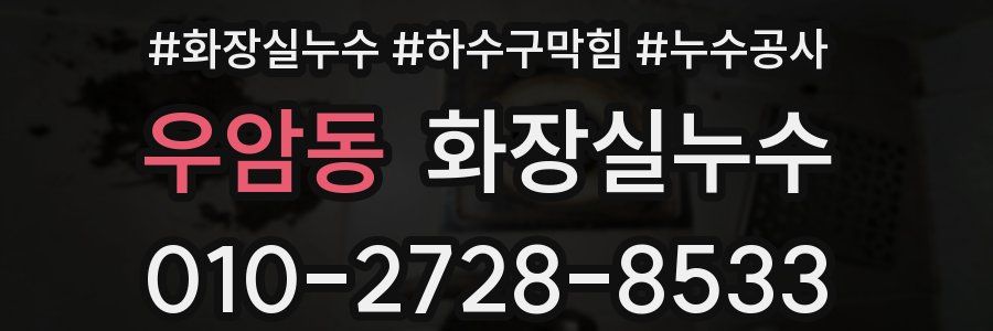 우암동 누수탐지