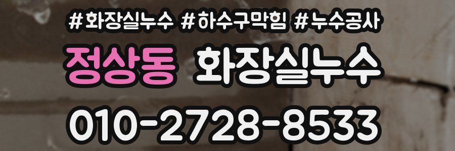 정상동 누수탐지