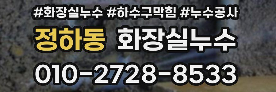 정하동 누수탐지