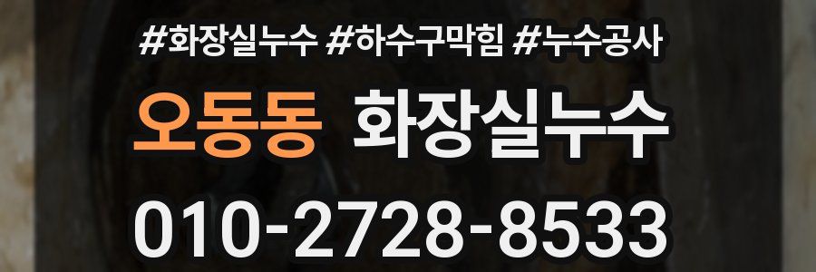 오동동 누수탐지