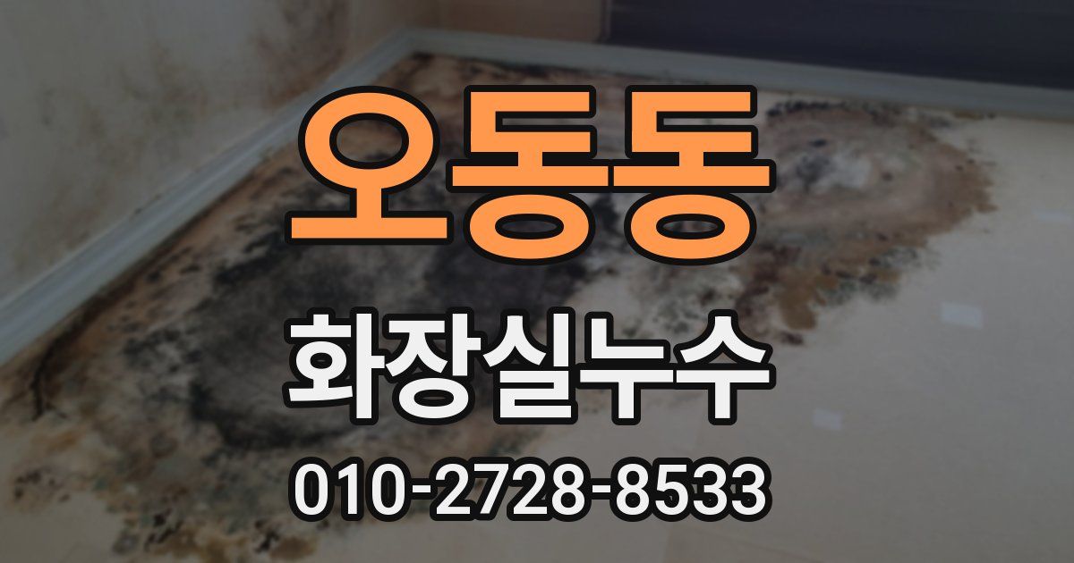오동동 누수업체