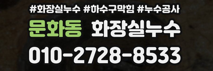 문화동 누수탐지