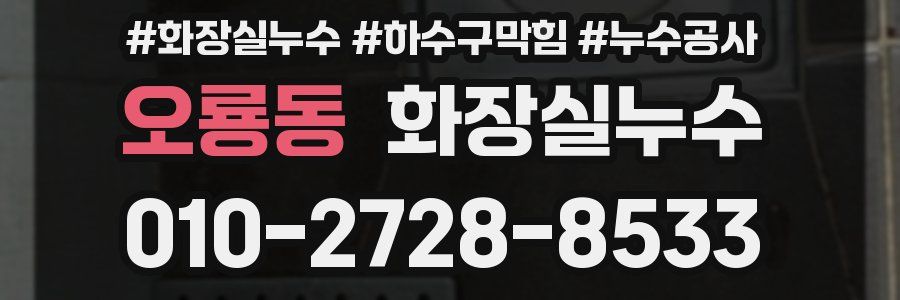 오룡동 누수탐지