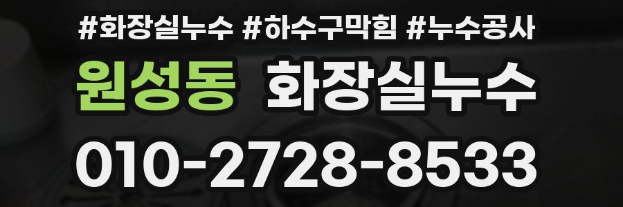 원성동 누수탐지