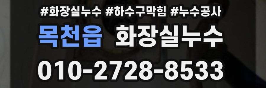 목천읍 누수탐지