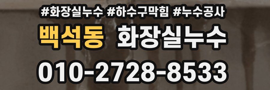 백석동 누수탐지