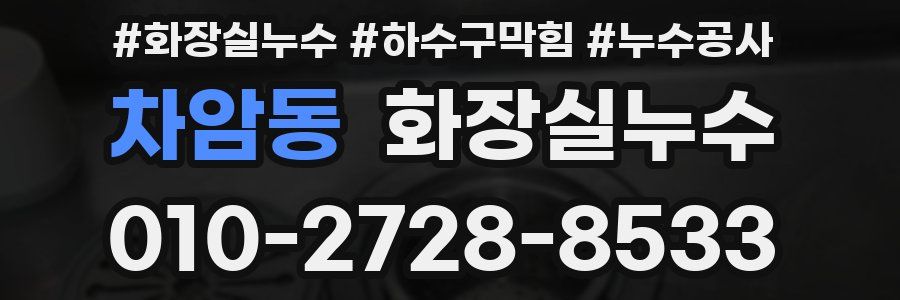 차암동 누수탐지