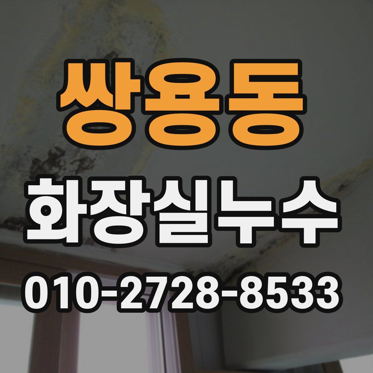 쌍용동 화장실누수탐지