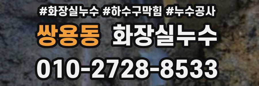 쌍용동 누수탐지