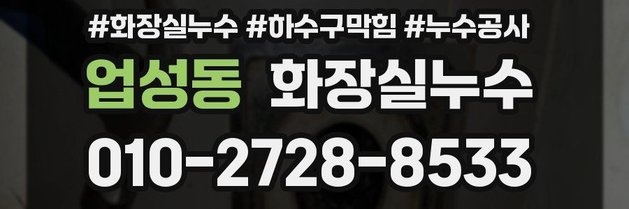 업성동 누수탐지