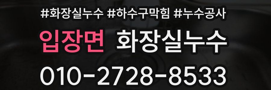 입장면 누수탐지